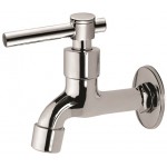FAUREX I-Series Wall Bib Tap FR-WB001-I / FR-TP-WB-00294-CH