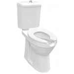 LE CELEBRITY Two Piece Washdown WC set LC-SYW-CCS- 10878-WW