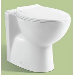 LE CELEBRITY Two Piece Washdown WC set LC-SYW-CCS- 10884-WW